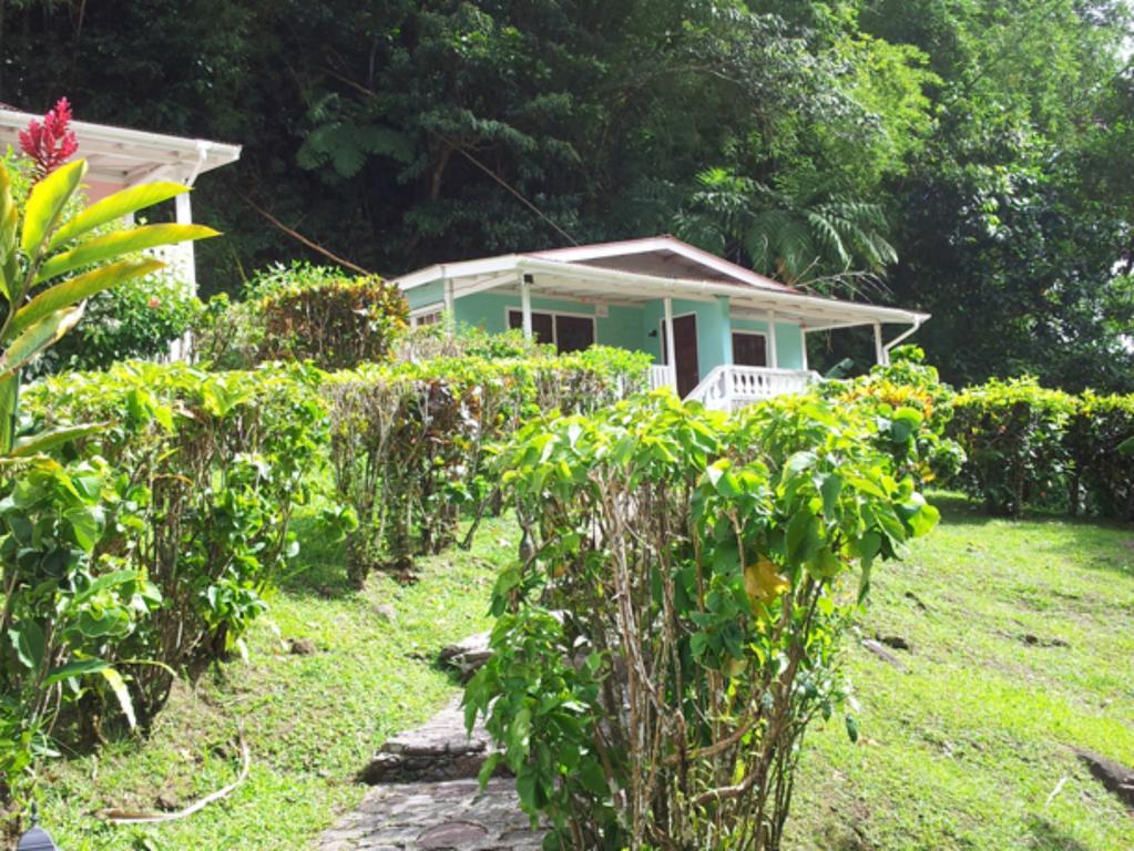 Chez Ophelia Cottage Apartments Roseau Oda fotoğraf