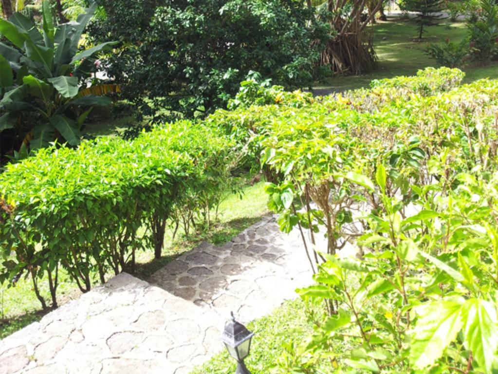 Chez Ophelia Cottage Apartments Roseau Oda fotoğraf