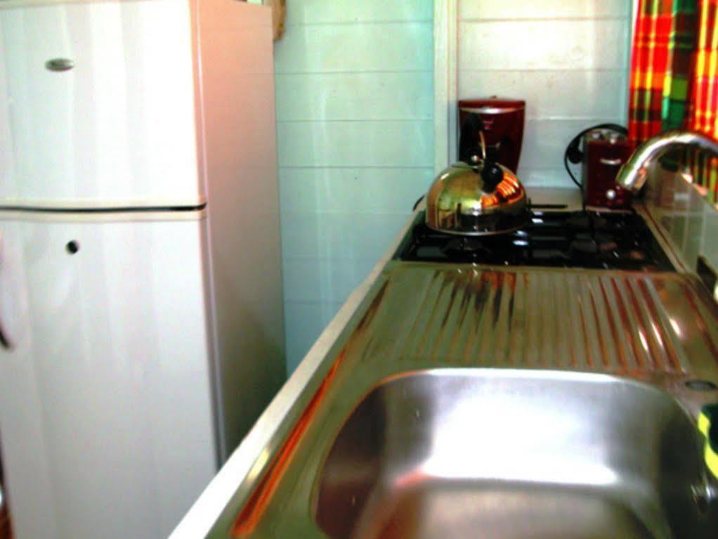 Chez Ophelia Cottage Apartments Roseau Dış mekan fotoğraf